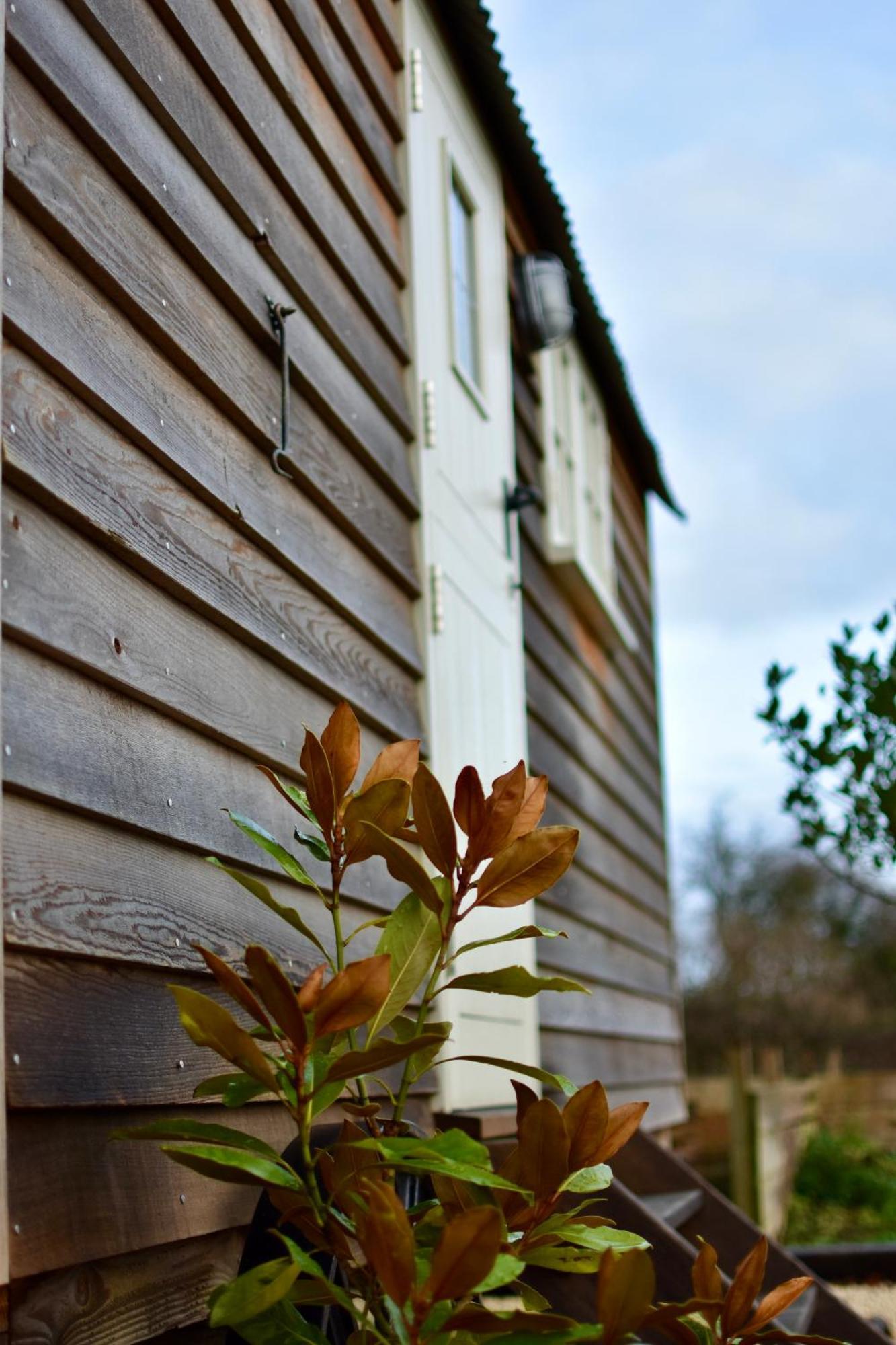 The Deer Hut Burpham Exterior foto